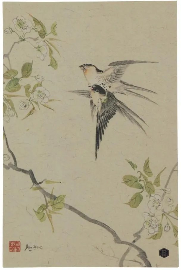 Poster multicolor din hartie 32x47 cm Swallows