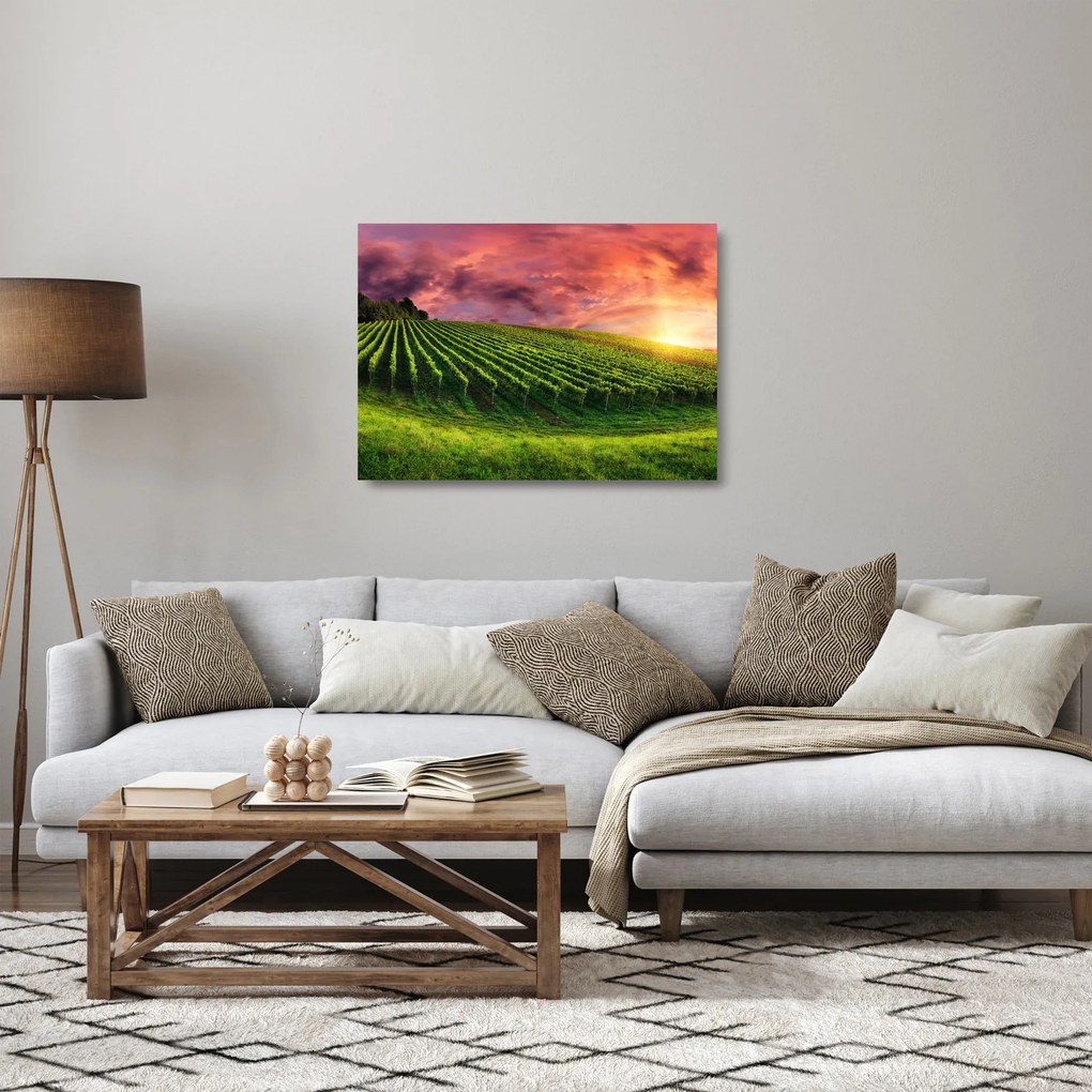 Tablou pe sticlă cu vie cu cerul color (70x50 cm)