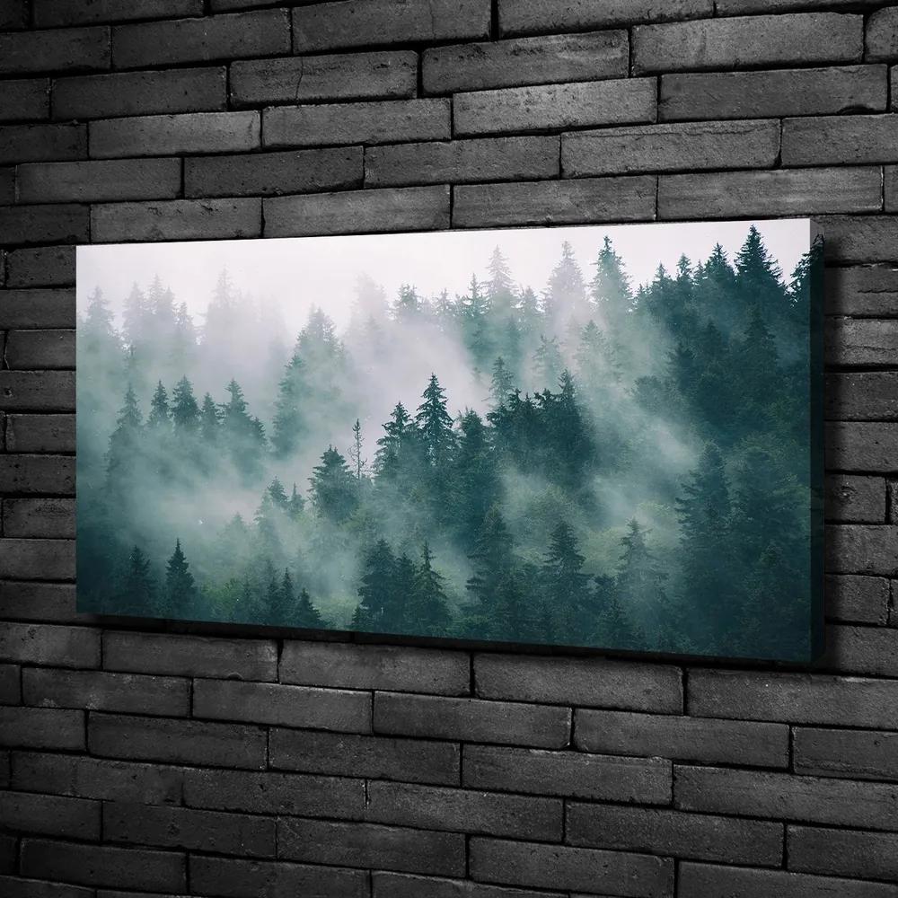 Pictură pe pânză Ceață peste pădure