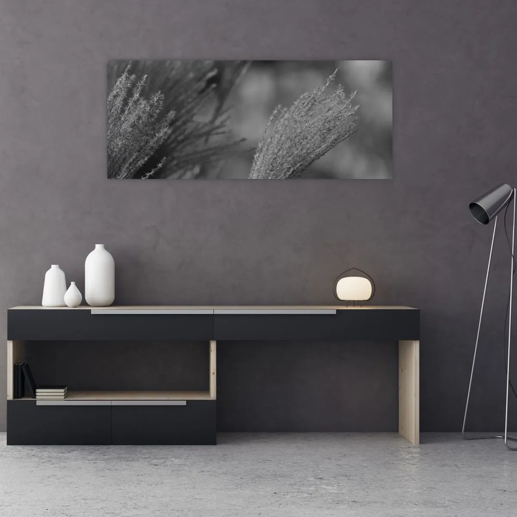 Tablou - Iarbă de pampas uscată (120x50 cm)