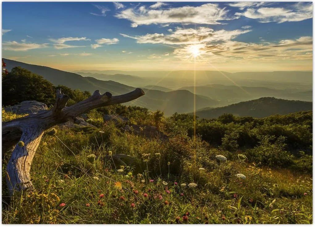 Tablou - Priveliștea (70x50 cm)