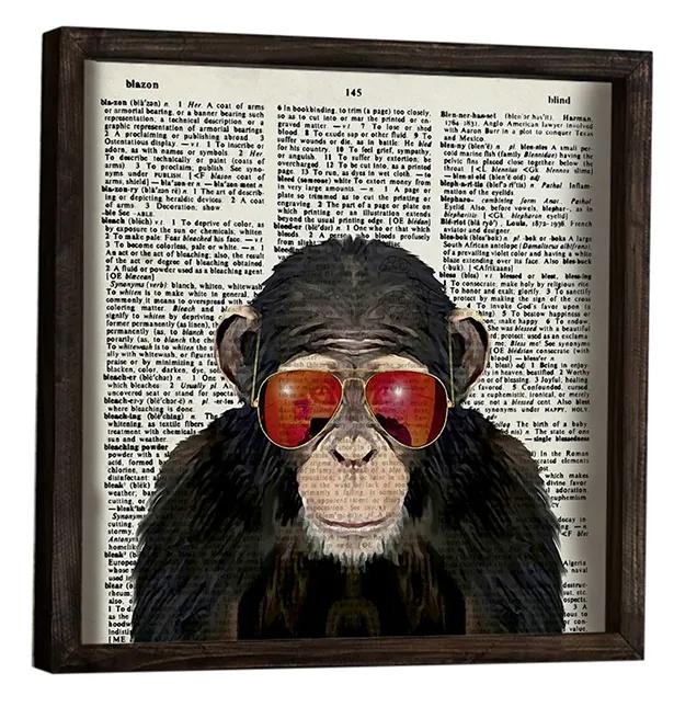 Misty Exquisite freezer Tablou Canvas MyHome, Maimuță cu Ochelari Soare, Design Pop Art, DP165 |  BIANO