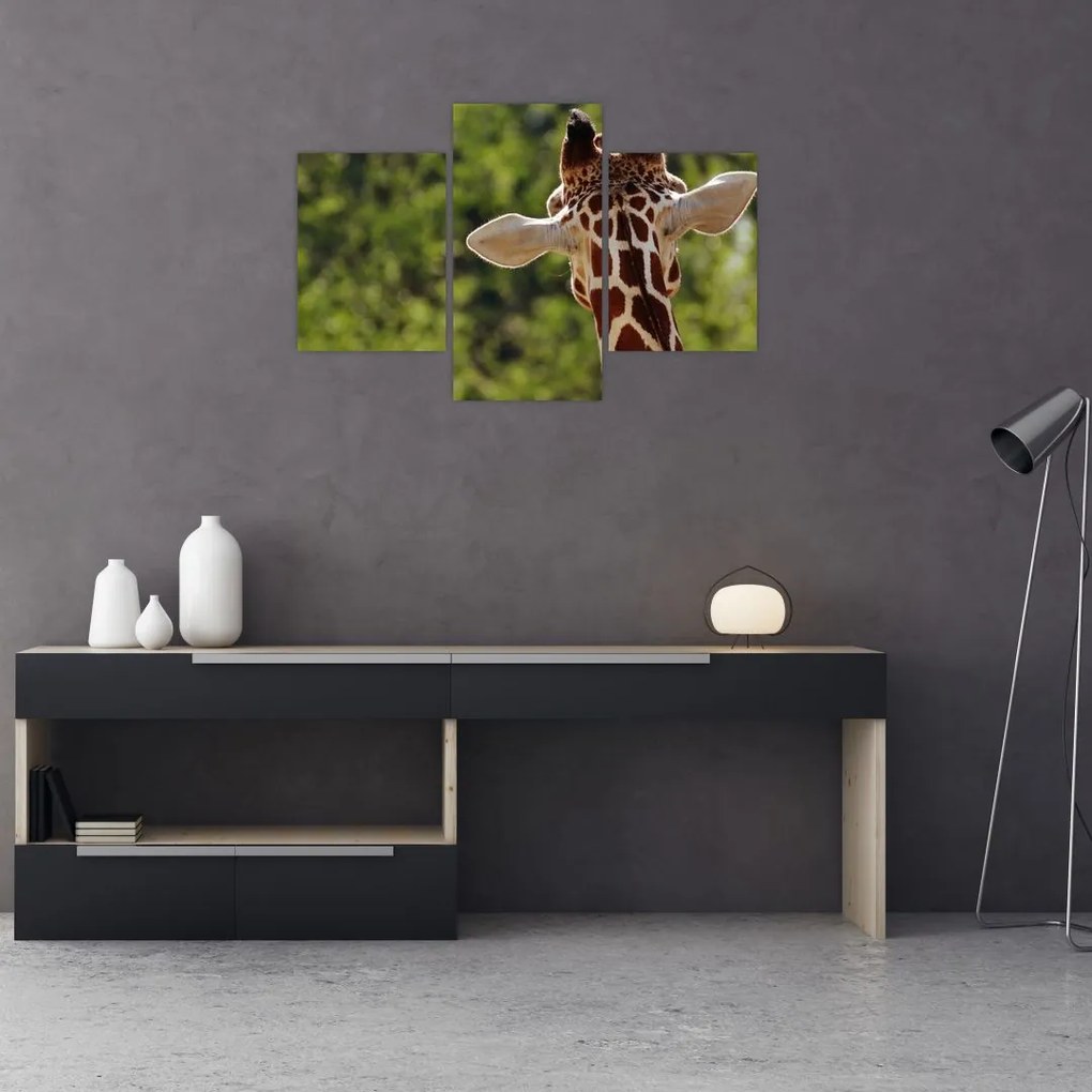 Tablou cu girafă din spate (90x60 cm)