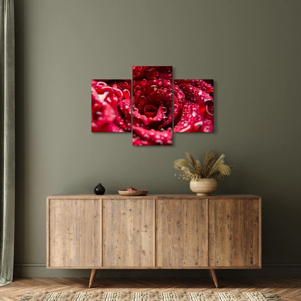 Tablou cu floarea trandafirului roșu (90x60 cm)