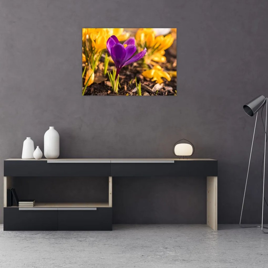Tablou pe sticlă cu floare violetă (70x50 cm)