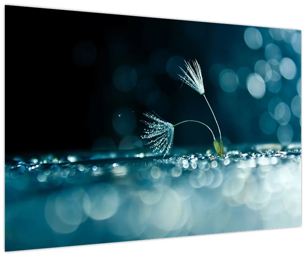 Tablou - Macro (90x60 cm)