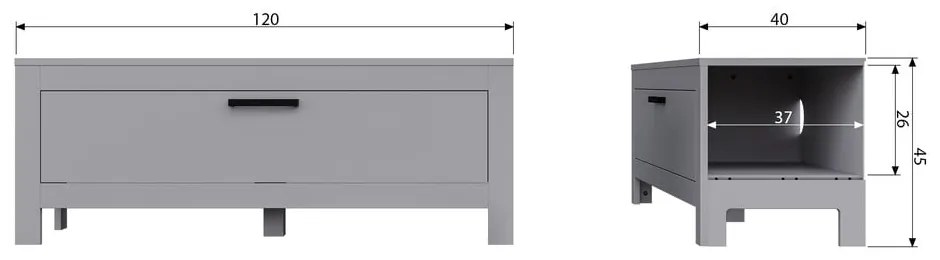 Comodă TV gri deschis din lemn de pin 120x45x40 cm Bonk – WOOOD