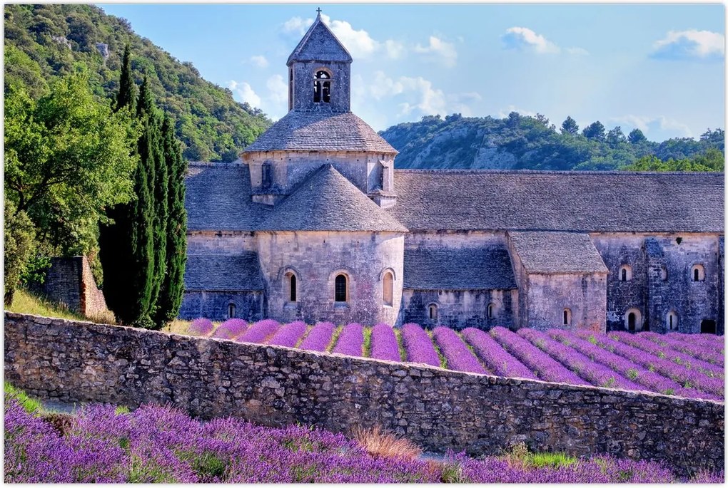 Tablou - Câmp de lavandă (90x60 cm)