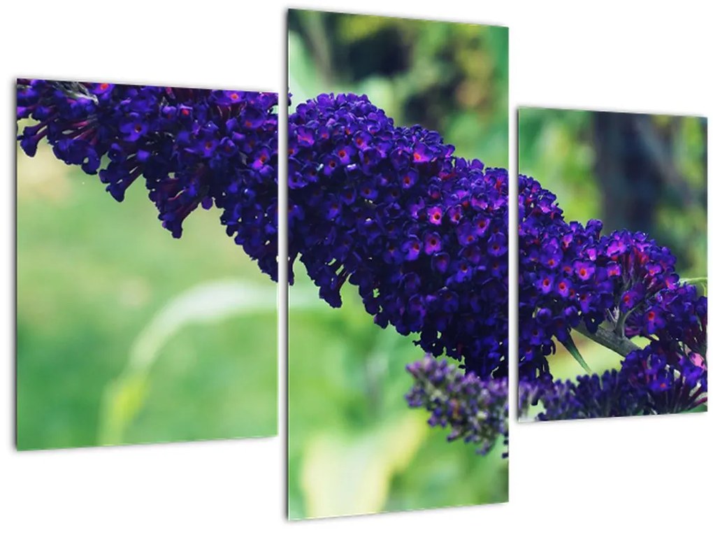 Tablou cu floare albastră (90x60 cm)