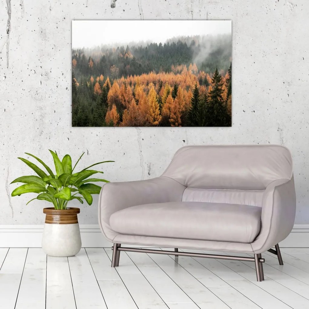 Tablou - Pădure toamna (90x60 cm)