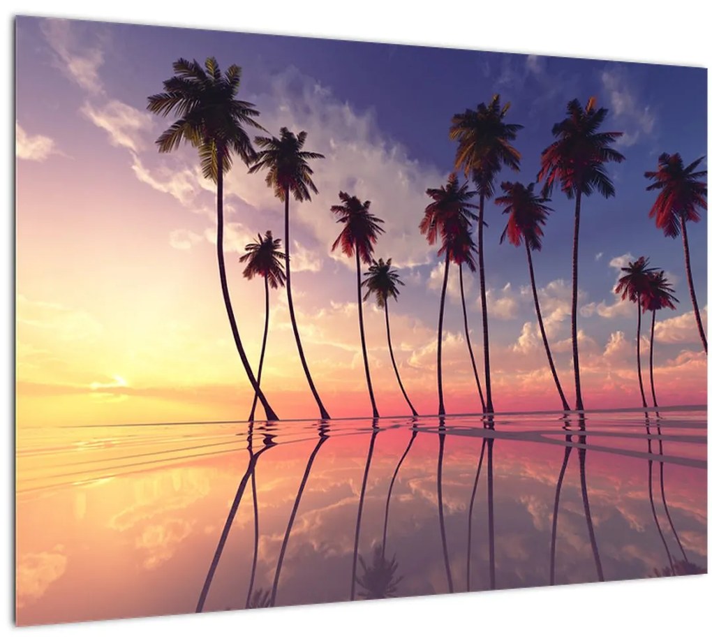 Tablou cu palmieri deasupra mării (70x50 cm)