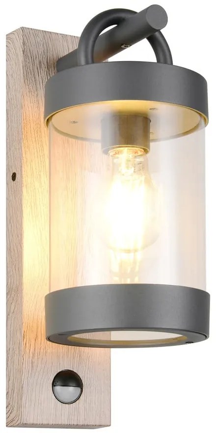 Corp de iluminat pentru exterior, de perete (înălțime 33 cm) Sambesi – Trio