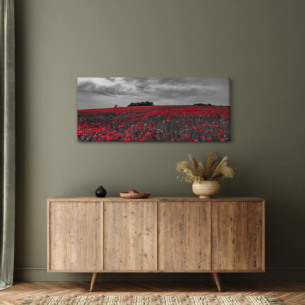 Tablou cu maci (120x50 cm)