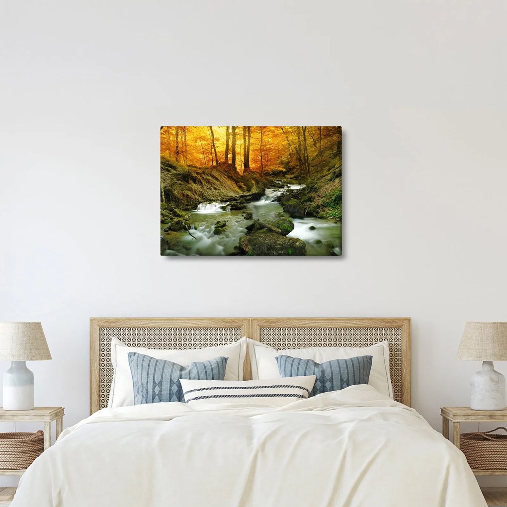 Tablou - Pădure (70x50 cm)