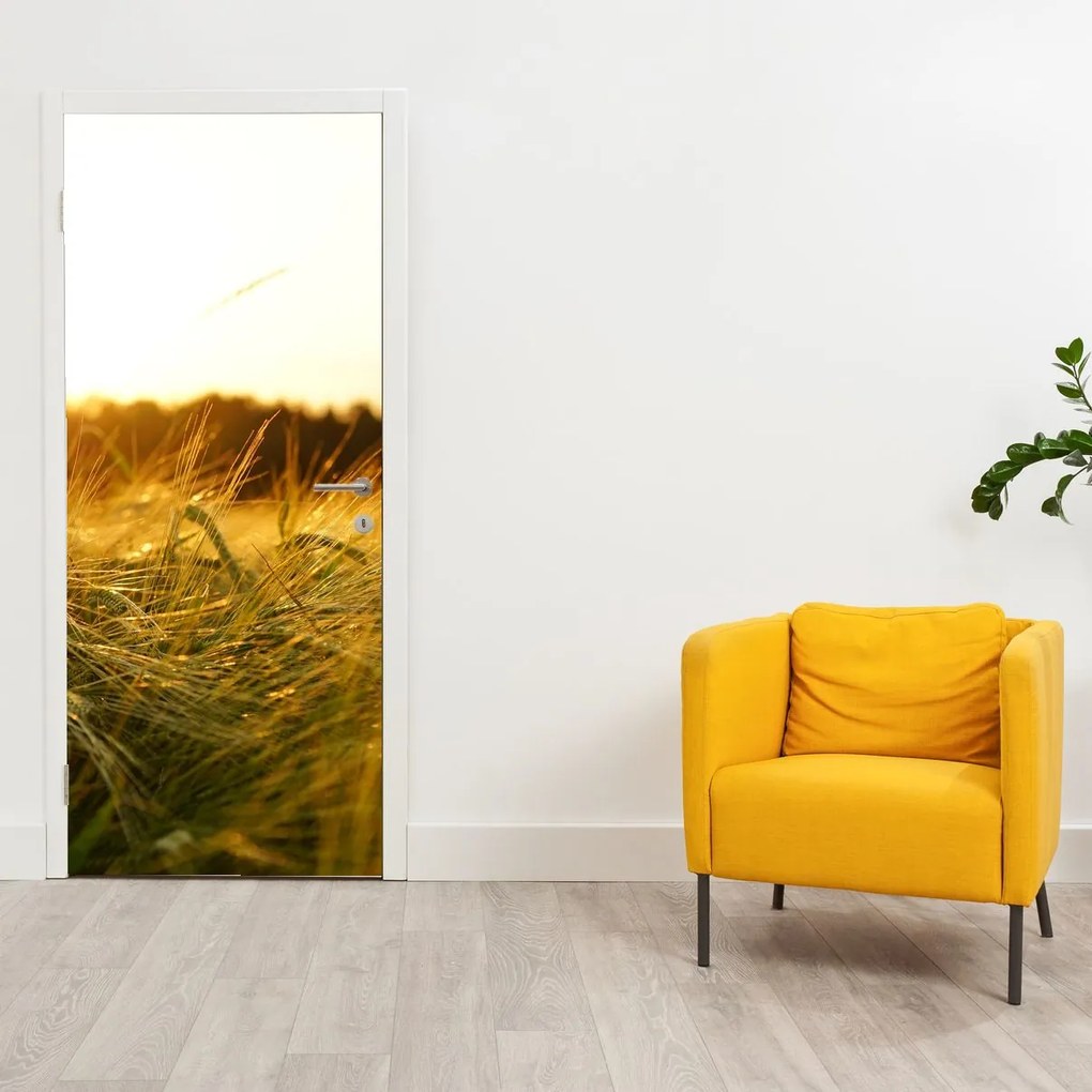 Fototapet pentru ușă - Iarba cu rouă (95x205cm)