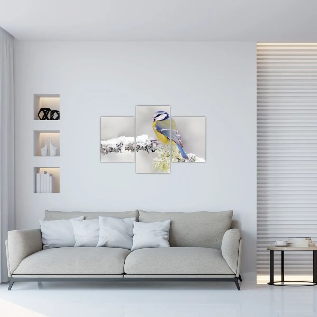 Tablou - Tit albastru în pădure (90x60 cm)