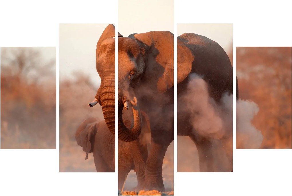 Tablou - Marele elefant african (150x105 cm)