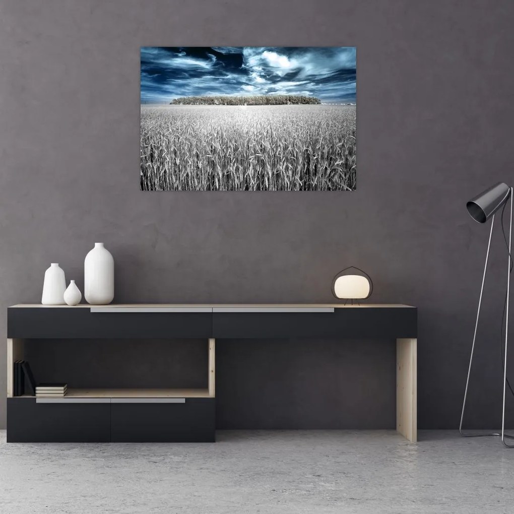 Tablou cu câmp (90x60 cm)