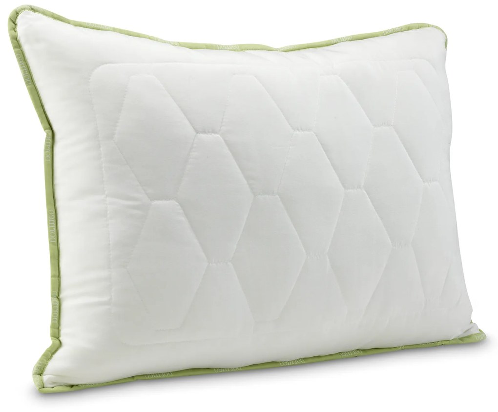 Dormeo perna Clasica Aloe Vera (50x70 cm) + Pilota Aloe Vera (140x200 cm)