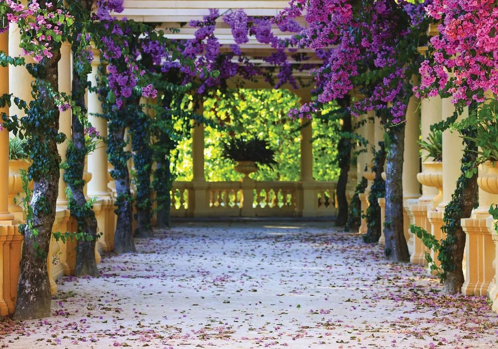 Fototapet - Terasa cu flori (152,5x104 cm)
