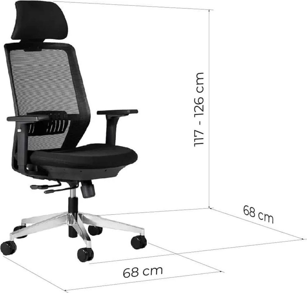Scaun lemn masiv de birou ErgoDynamic Negru