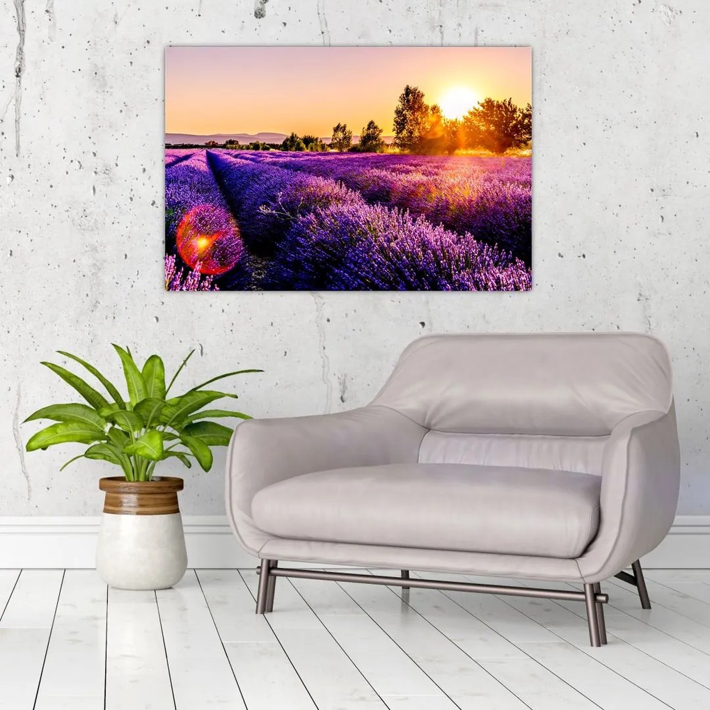 Tablou cu câmp de lavandă, Provincie (90x60 cm)