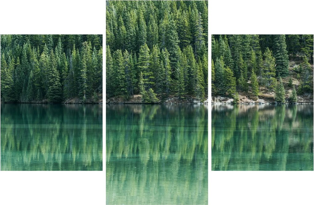 Tablou - Coniferi lângă lac (90x60 cm)