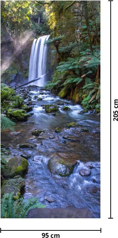 Fototapet pentru ușă - Pădurile tropicale ploioase din Australia (95x205cm)