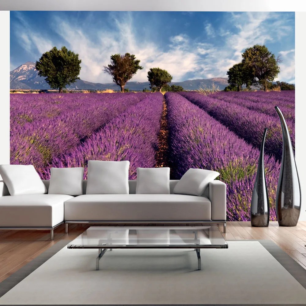 Fototapet Bimago - Lavender field in Provence, France + Adeziv gratuit 200x154 cm