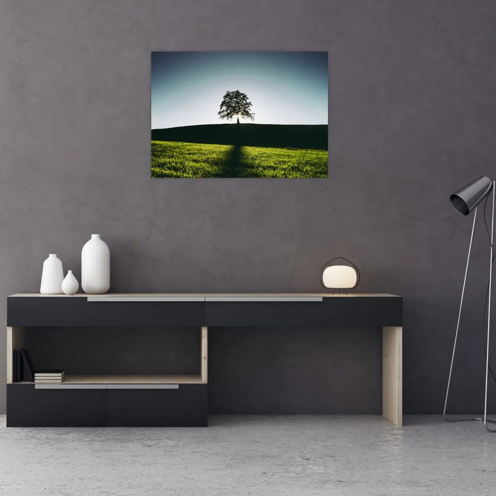 Tablou cu natura - copac (70x50 cm)