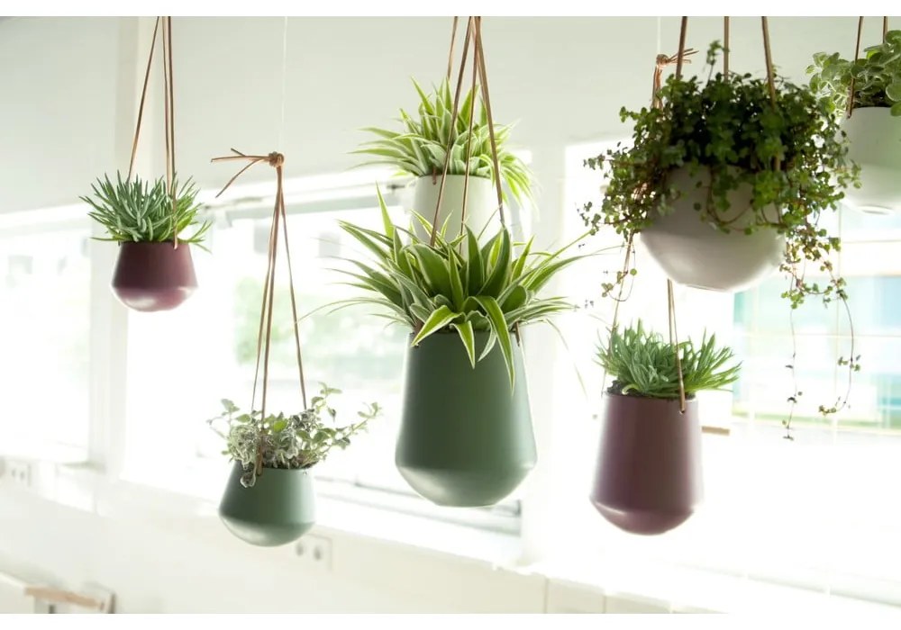 Ghiveci din ceramică de agățat ø 12 cm Skittle – PT LIVING