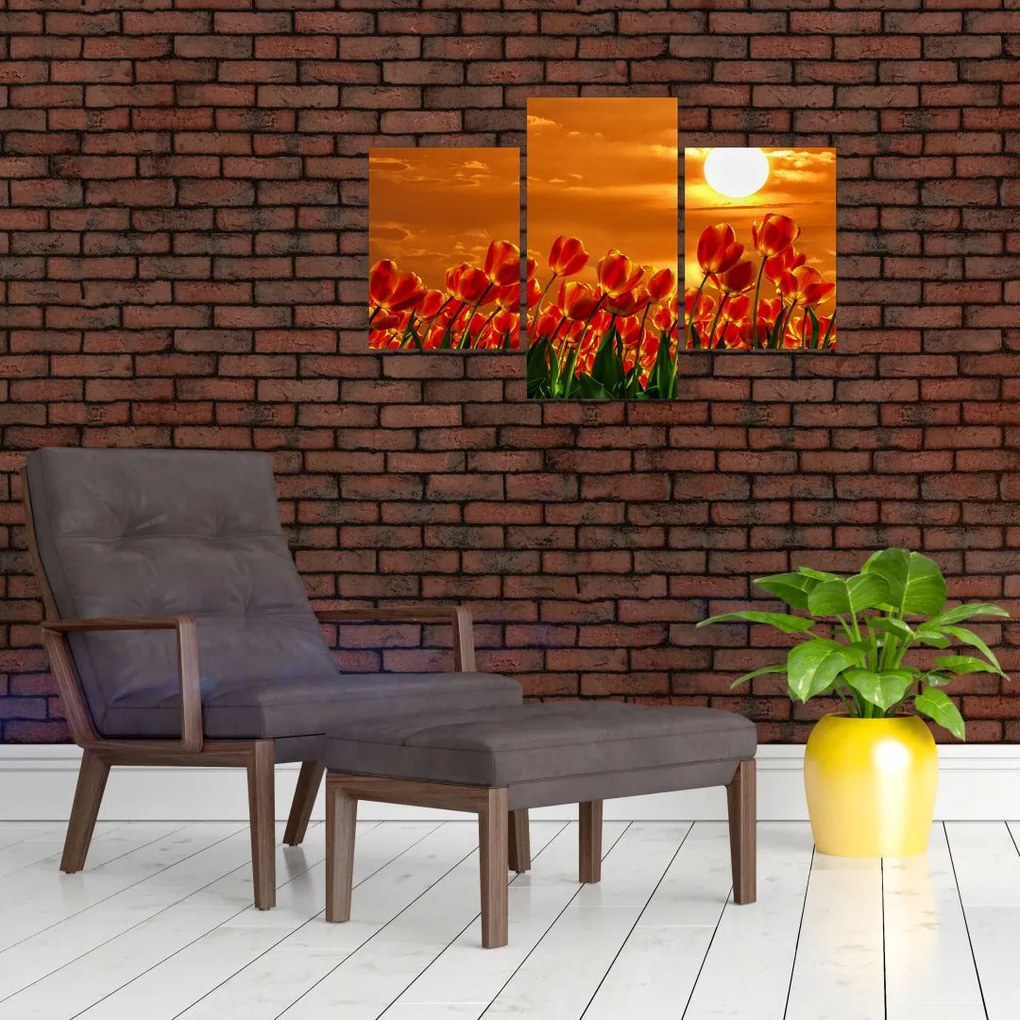 Tablou - lan înflorit de lalele (90x60 cm)