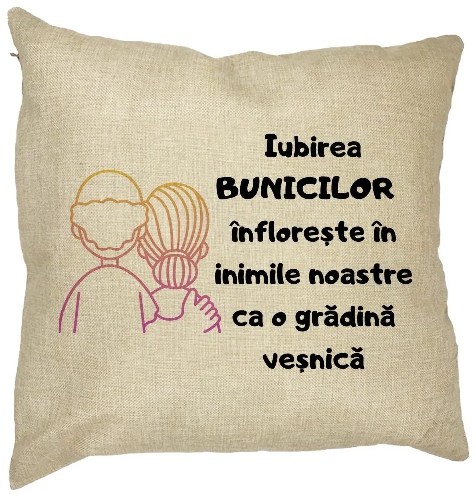 Perna Decorativa pentru Bunici 10, 40x40 cm, Husa Detasabila, Burduf