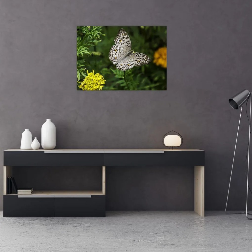 Tablou pe sticlă - fluture alb (70x50 cm)
