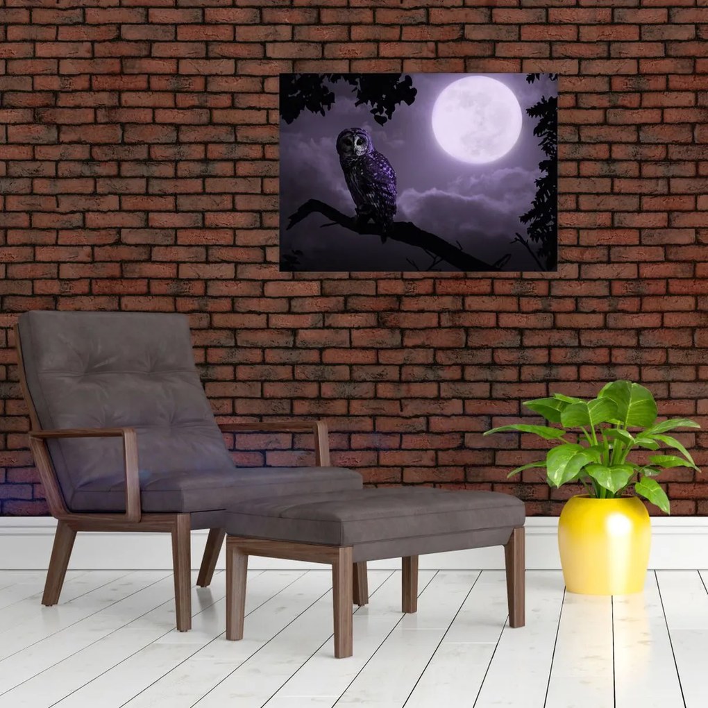 Tablou pe sticlă - Bufniță de noapte, violet (70x50 cm)