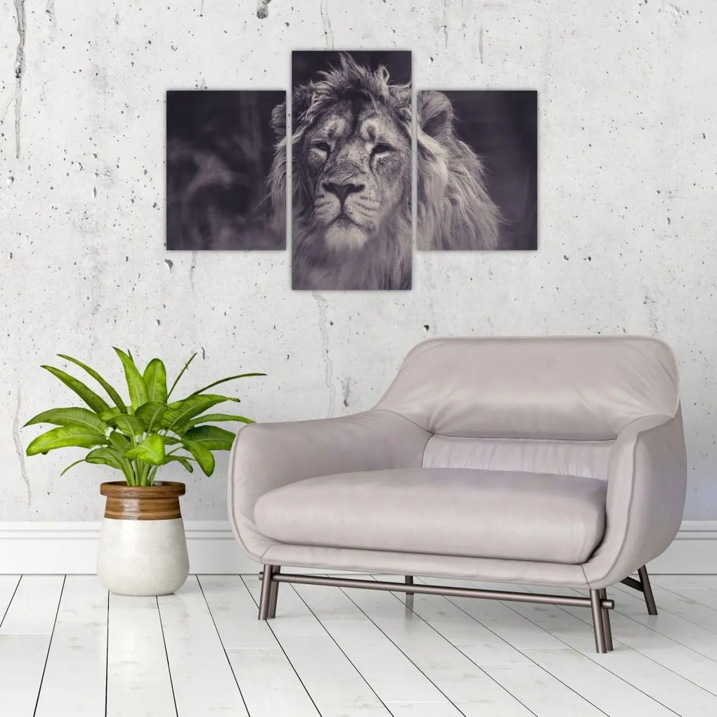 Tablou cu leu (90x60 cm)