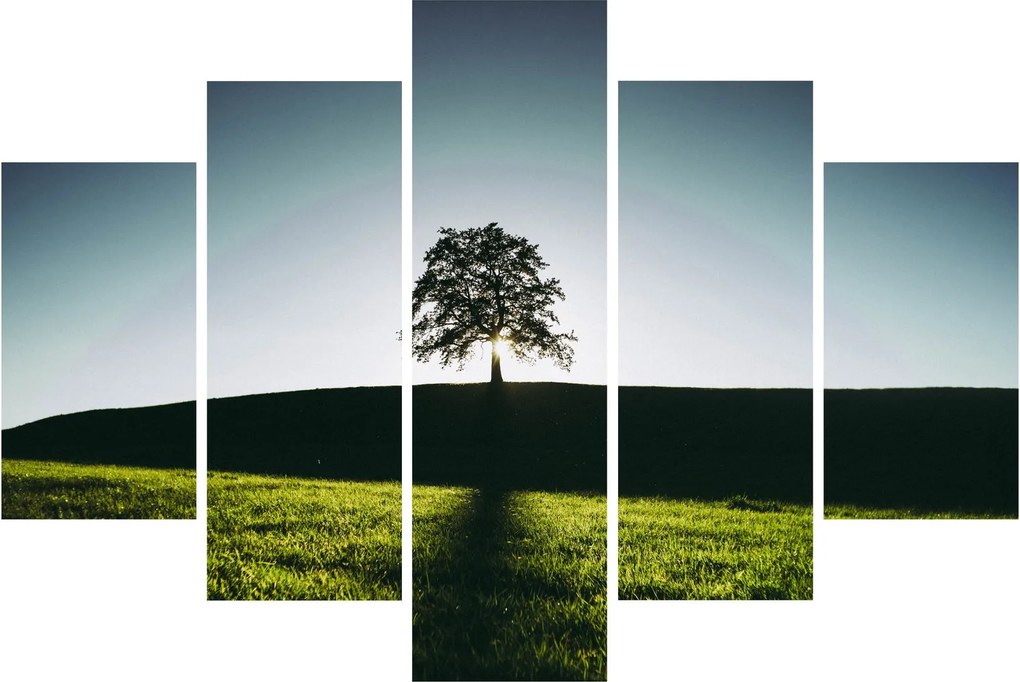 Tablou cu natura - copac (150x105 cm)