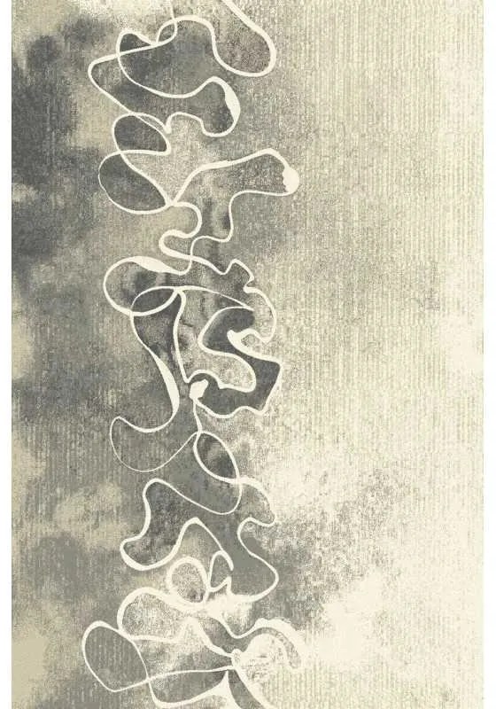 Covor Aszra siwy Selectează mărime: 160 X 240