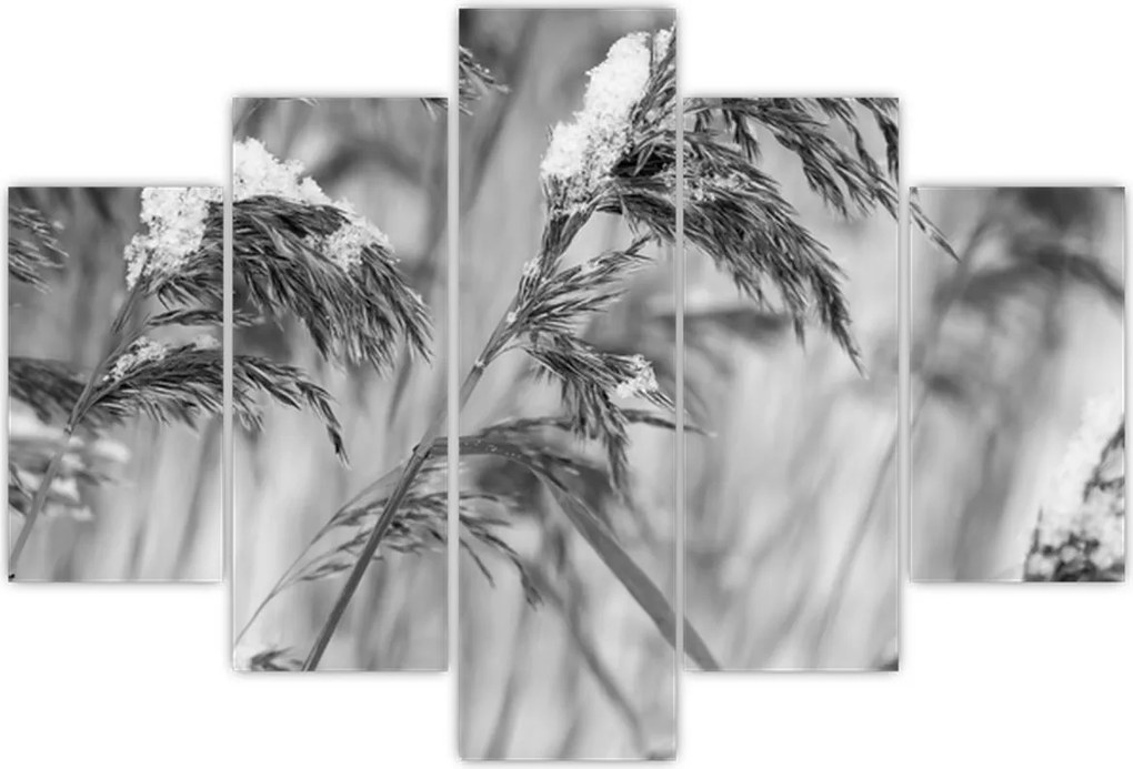 Tablou - Tei,alb-negru (150x105 cm)