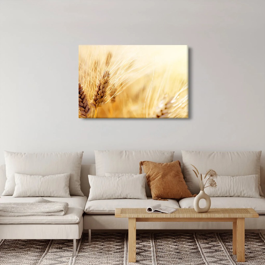 Tablou- detaliu cu (90x60 cm)