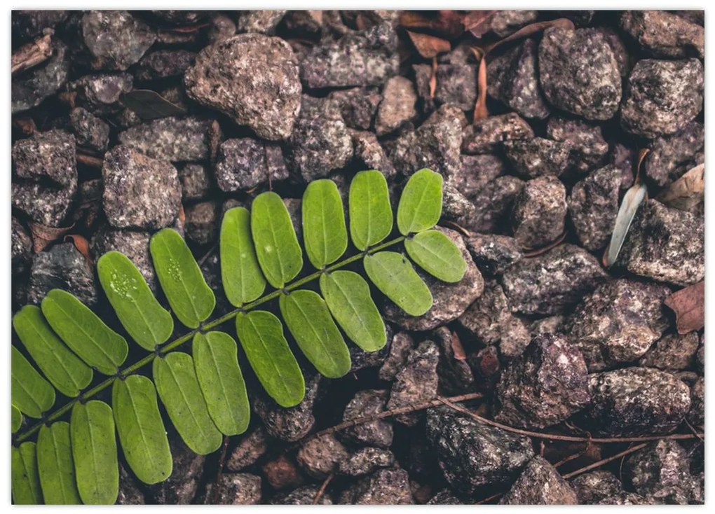 Tablou pe sticlă cu planta verde (70x50 cm)
