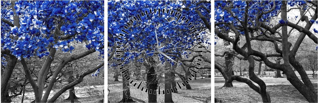 Tablou - Copaci albaștri Central Park, New York (cu ceas) (90x30 cm)