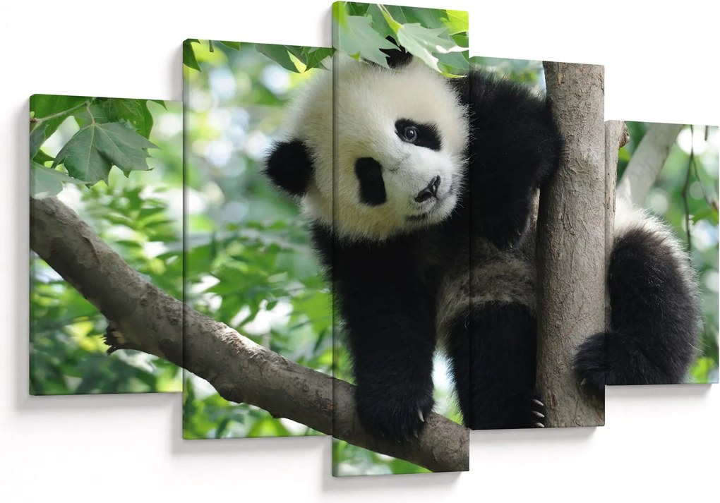 Tablou - Panda in copac (150x105 cm)