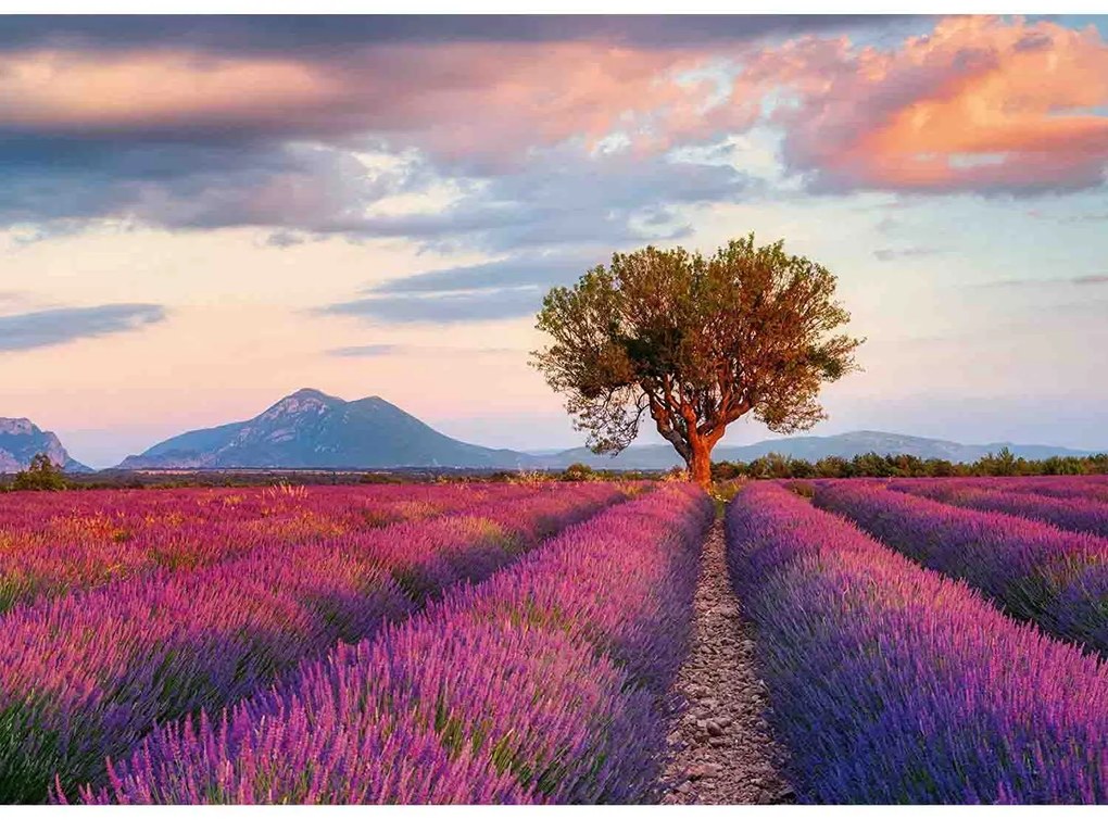 PUZZLE CAMP DE LAVANDA, 1000 PIESE - RAVENSBURGER (RVSPA16724)