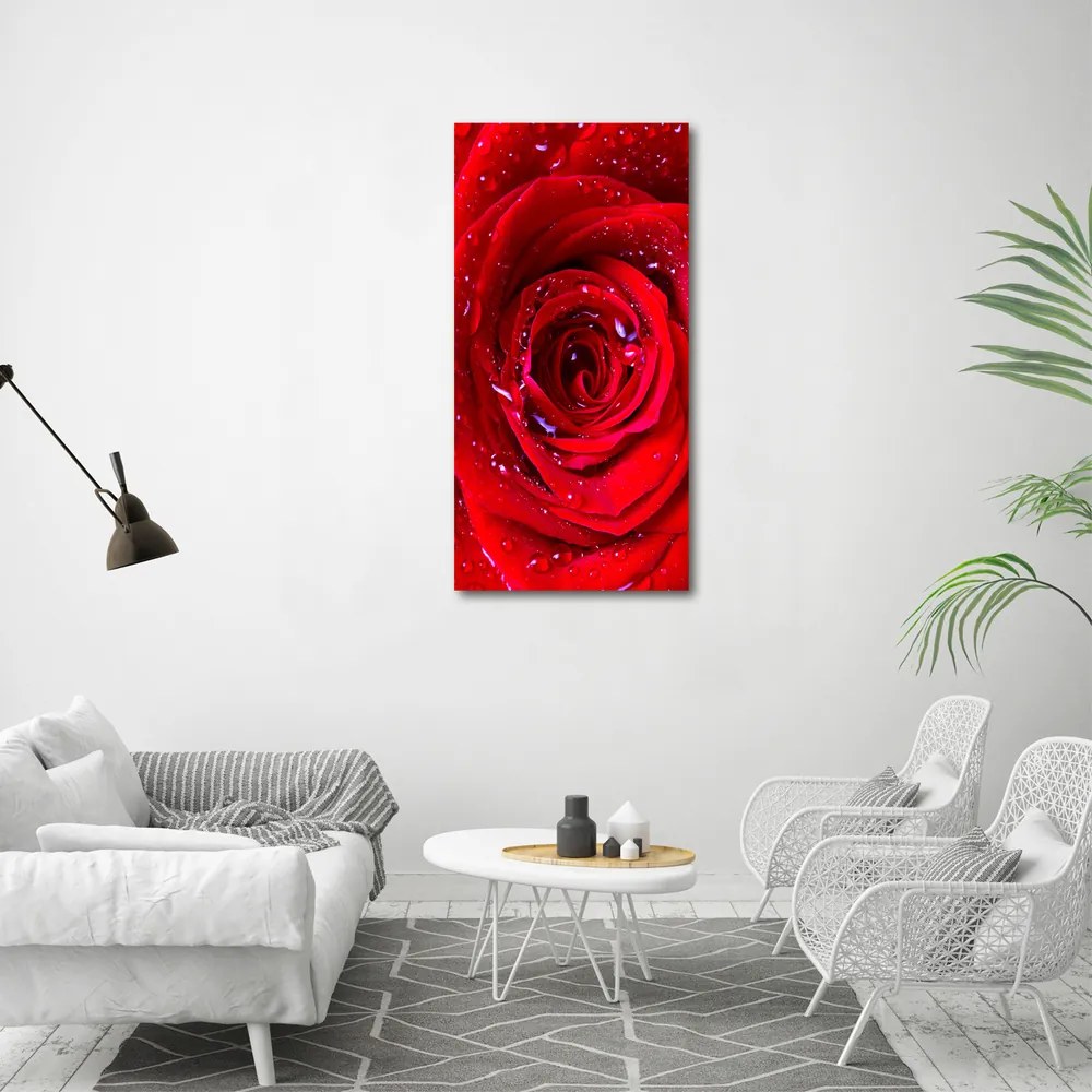 Print pe canvas Trandafir roșu
