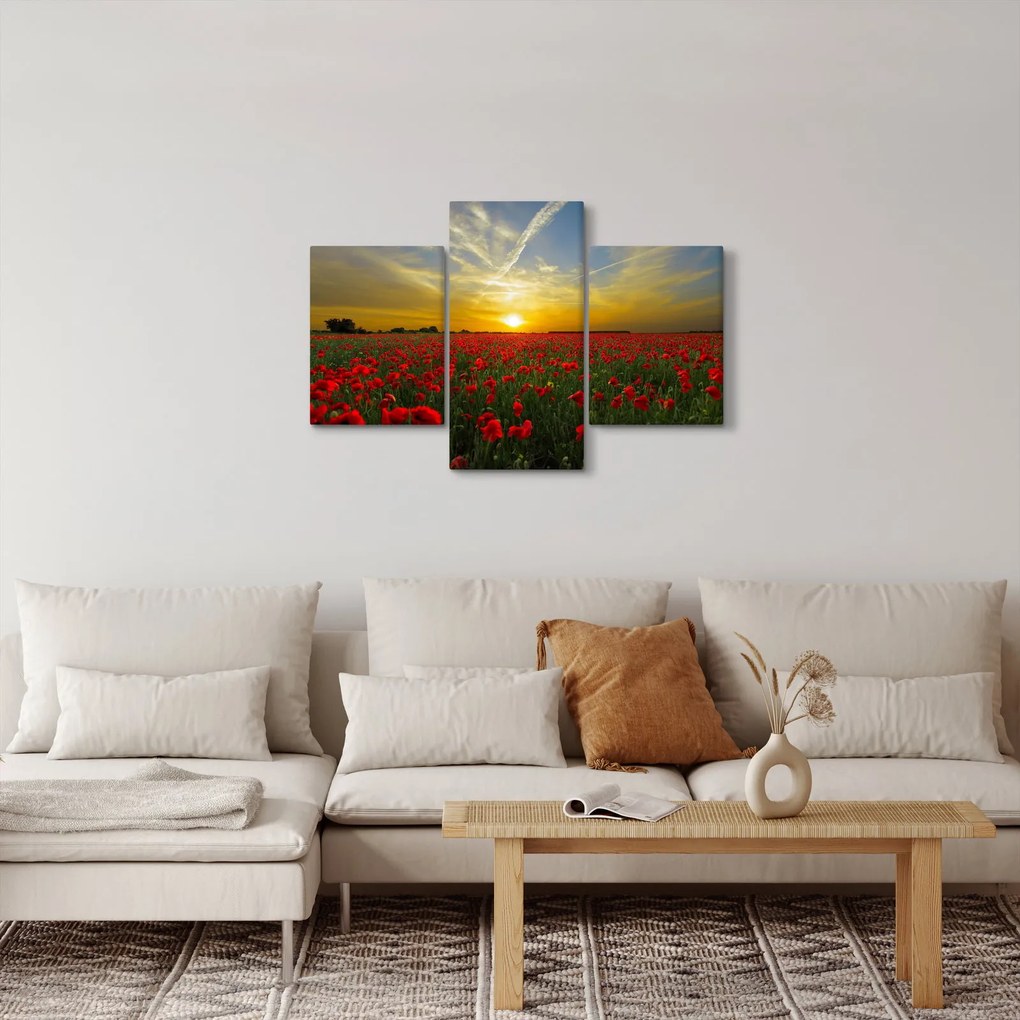 Tablou cu câmp cu maci (90x60 cm)