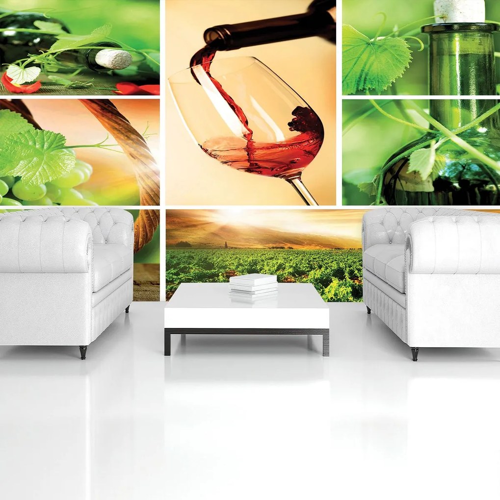 Fototapet - Vin (254x184 cm)
