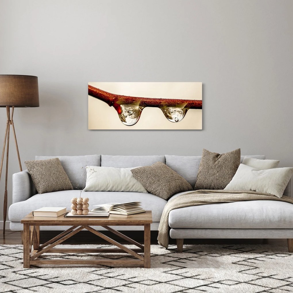 Tablou cu picături de apă pe creangă (120x50 cm)
