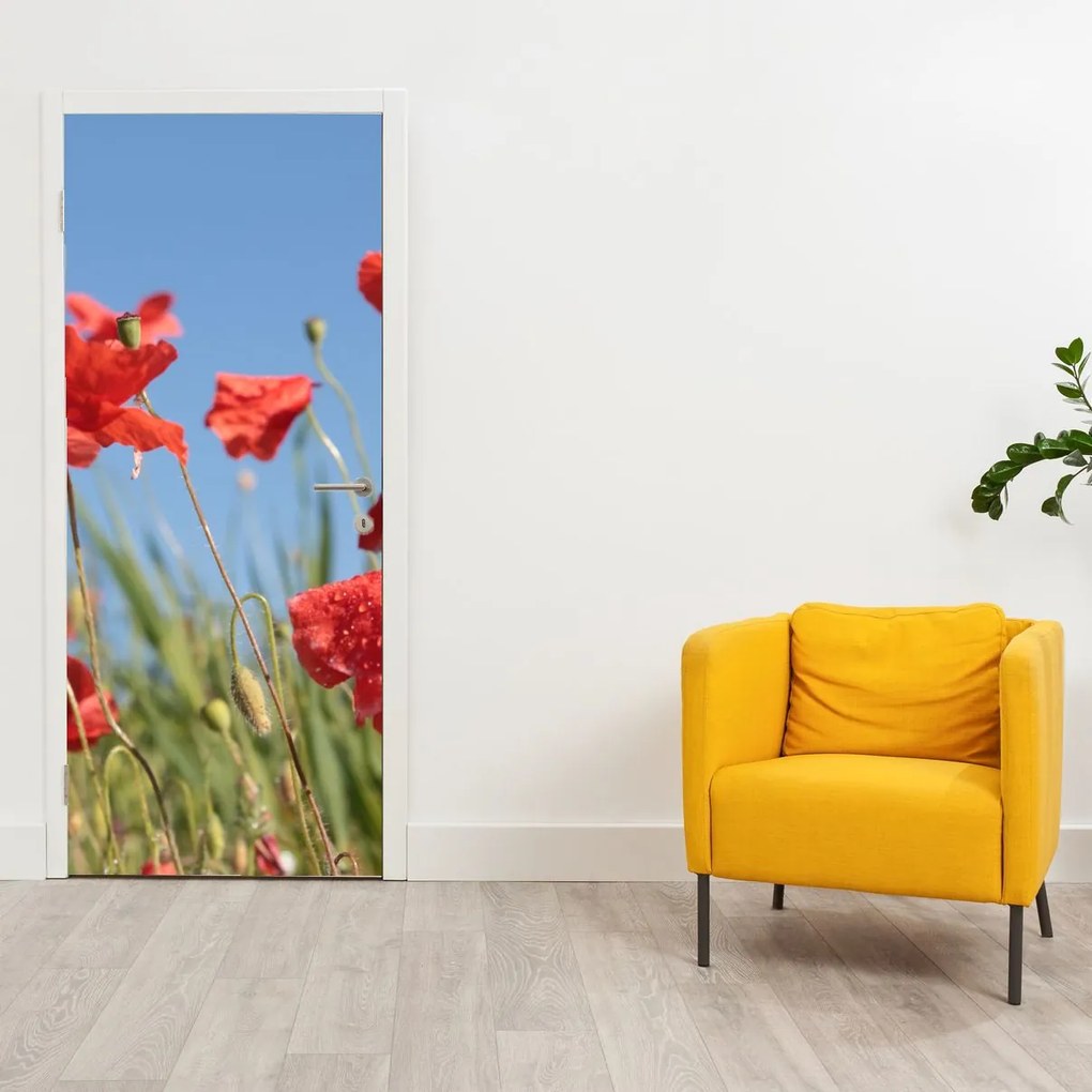 Fototapet pentru ușă - Maci (95x205cm)