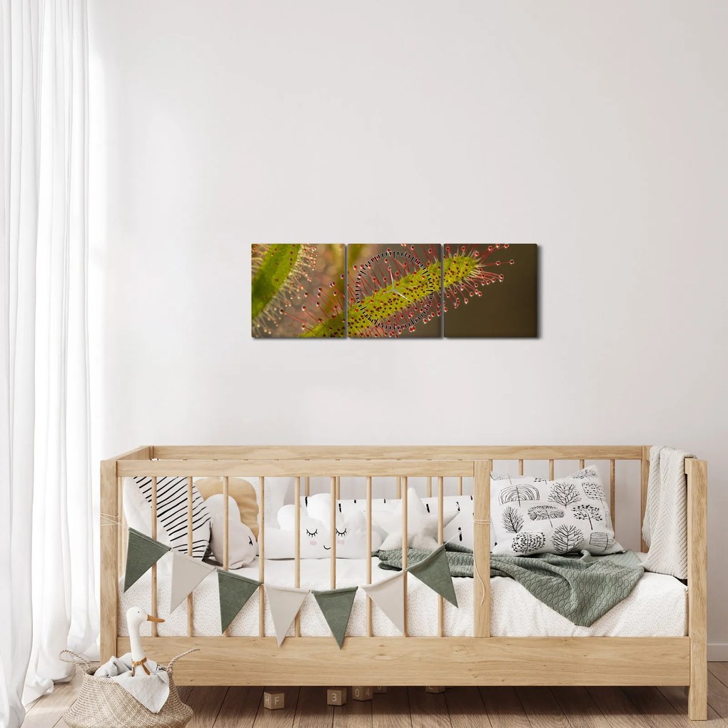 Tablou cu plantă (cu ceas) (90x30 cm)
